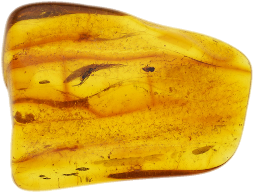 2,40 g Gintaro grynuolis su inkliuzu (1)