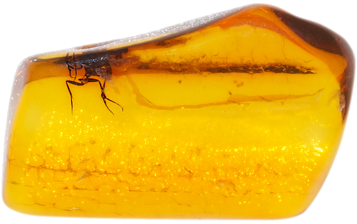 1,05 g Amber Nugget with inclusion (1)