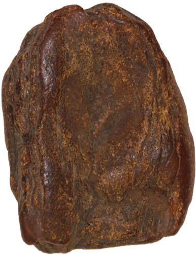 22,15 g Gintaro grynuolis (1)