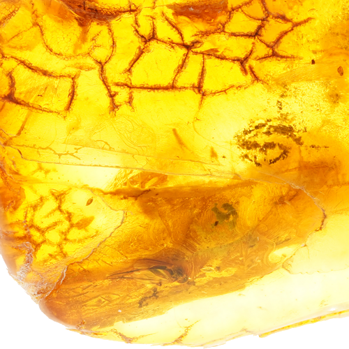 13,80 g Amber Nugget with inclusion (3)