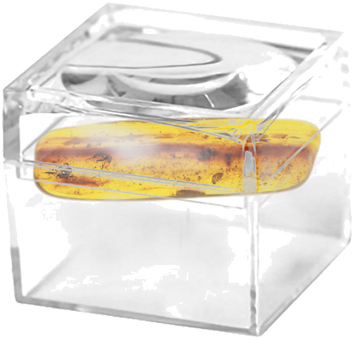 2,00 g Amber Nugget with inclusions (2)