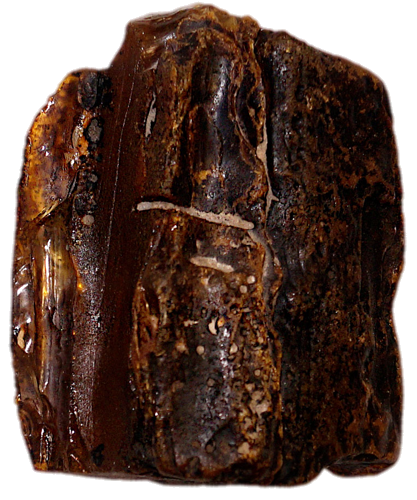 118 g Amber Nugget (1)