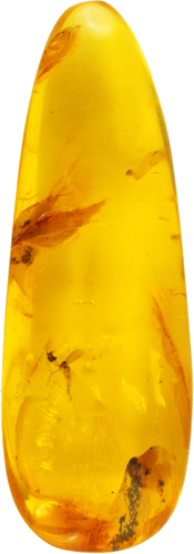 Самородок янтаря с инклюзом 7,95 г (1)