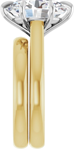 Sužadėtuvių Žiedas „Claw-Prong“ 14k yellow/white gold Oval 12mm x 10mm (9)