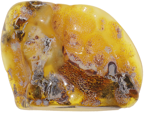 14,50 g Gintaro grynuolis (2)