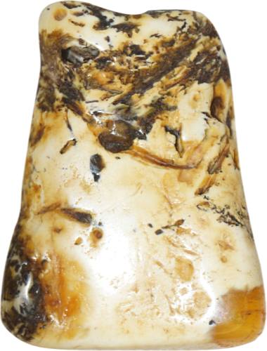 11,55 g Amber Nugget (1)