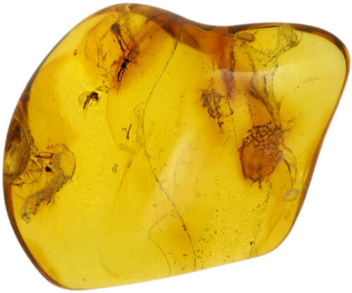 1,60 g Amber Nugget with inclusion (1)