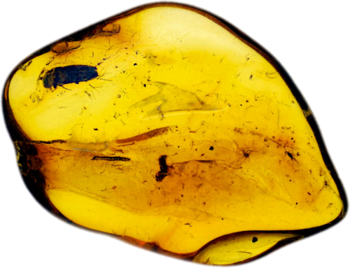 1,40 g Amber Nugget with inclusion (1)
