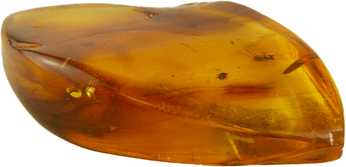 1,45 гр. Самороден кехлибар с фосил (5)