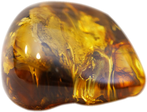 31,60 g Amber nugget (2)
