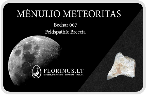 Lunar Meteorite (1)