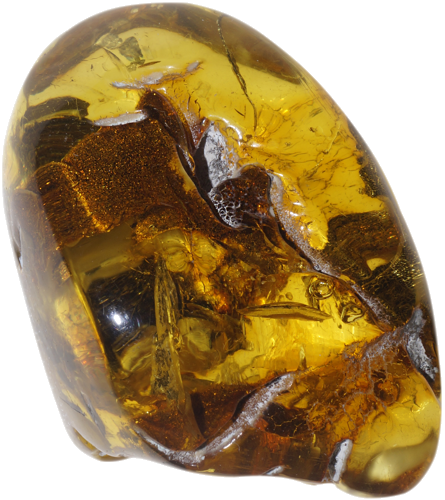 31,60 g Amber nugget (1)