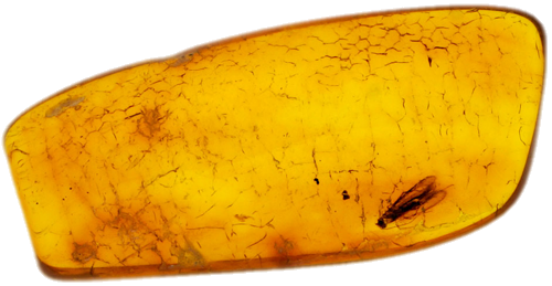 1,80 g Amber Nugget with inclusion (1)