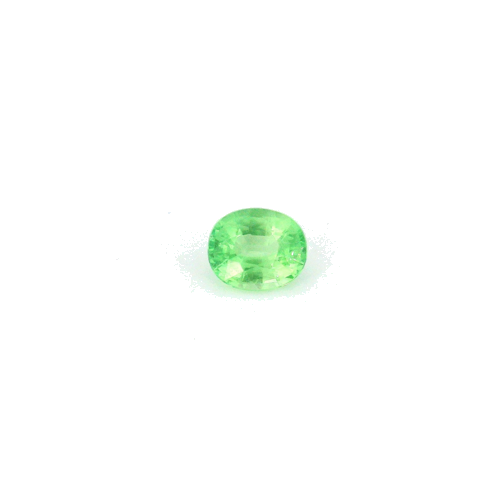 0.47 carat GREEN Oval Garnet (1)