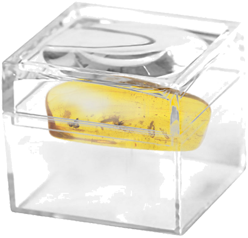 2,65 g Gintaro grynuolis su inkliuzais (2)