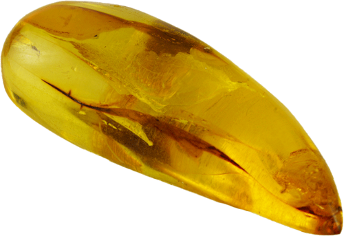 22,15 g Amber Nugget with fly inclusion (3)