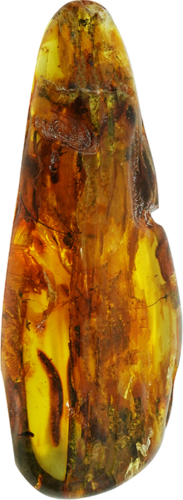 42 g Amber Nugget with spider inclusion (1)