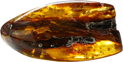 58,95 g Amber nugget with tree branch inclusion (2)