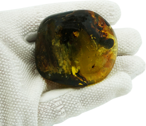 49,10 g Gintaro grynuolis su inkliuzu (1)