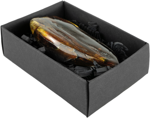 Самородок янтаря 46,50 г (3)
