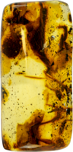 14,85 g Amber nugget (1)