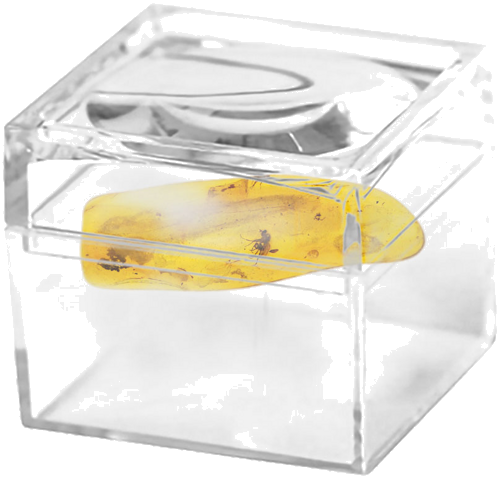 0,90 g Amber Nugget with inclusion (2)