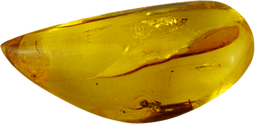 22,15 g Amber Nugget with fly inclusion (2)