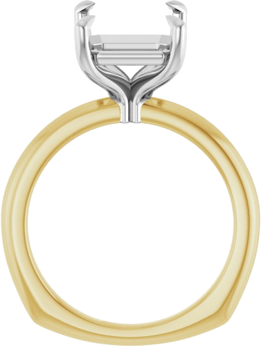 Sužadėtuvių Žiedas „Claw-Prong Euro Shank“ 14k yellow/white gold Emerald 11mm x 9mm (2)