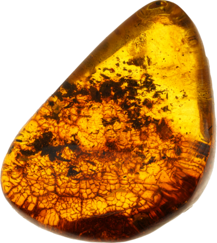 11,30 g Gintaro grynuolis (2)