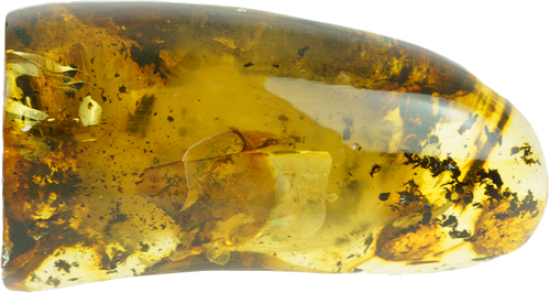 46,60 g Amber nugget (3)