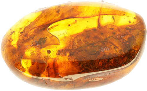 15,85 g Gintaro grynuolis su inkliuzu (1)