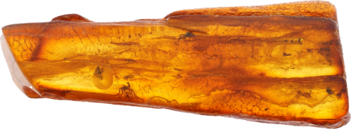 12,70 g Gintaro grynuolis su inkliuzu (2)