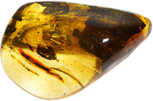 31,60 g Amber nugget (1)