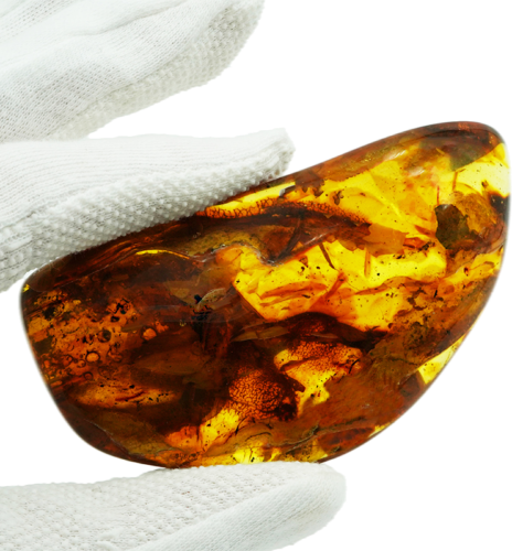 58,45 g Amber Nugget with inclusion (1)