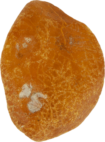 Морской янтарь 7,40 г (1)