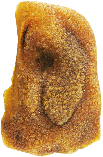 6,90 g Jūrinio Gintaro grynuolis (3)