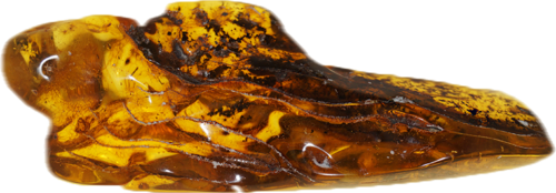 Самородок янтаря с инклюзом жука 38,40 г (3)