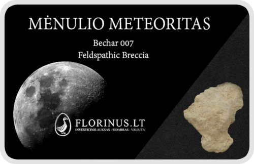 Lunar meteorīts (1)