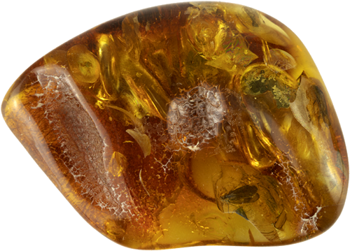 22,15 g Amber Nugget with fly inclusion (1)