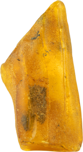 12,95 g Jūrinio Gintaro grynuolis (1)