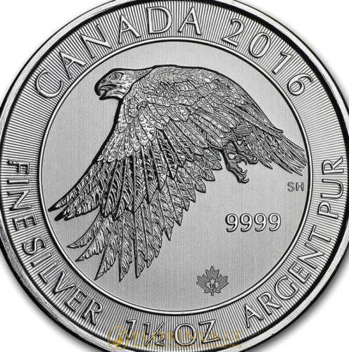 2016 Snieginis sakalas, Kanada, 1.5 oz sidabrinė moneta (2)