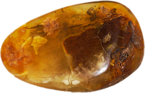 5,45 g Amber nugget with tree bark inclusion (1)
