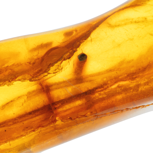 3,55 g Amber nugget with inclusion (3)