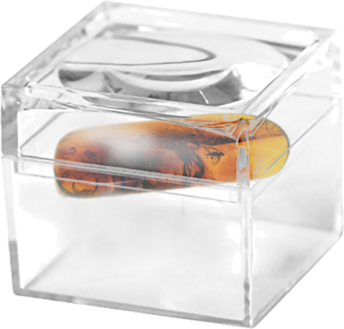 1,45 g Amber Nugget with inclusion (2)