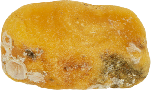 5.65 g Sea amber nugget (2)