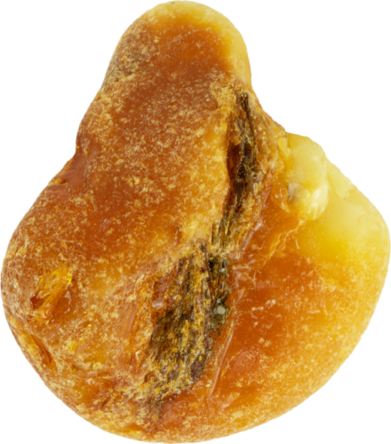 10,60 g Jūrinio Gintaro grynuolis (1)