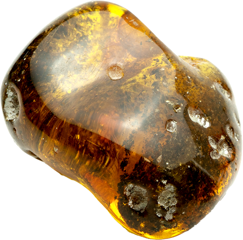 27,80 g Gintaro grynuolis (2)