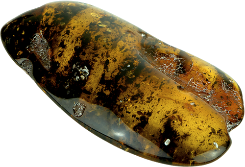 10,95 g Amber nugget (4)