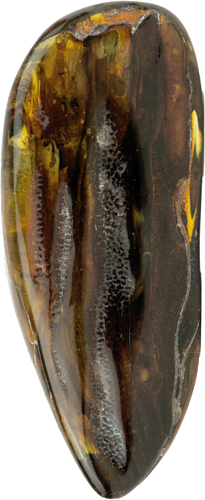 46,50 g Gintaro grynuolis (4)