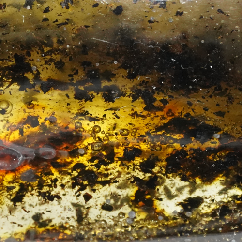 31,60 g Amber nugget (4)